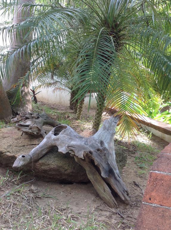 Casa Flor De Mar Otel Zipolite Dış mekan fotoğraf