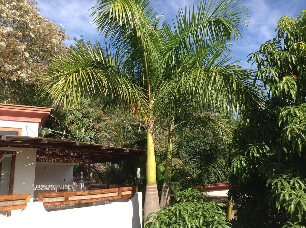 Casa Flor De Mar Otel Zipolite Dış mekan fotoğraf